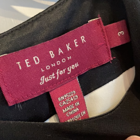 Ted Baker (TB size 3/US10-12) Imogene drop waist color block dress - Picture 3 of 9